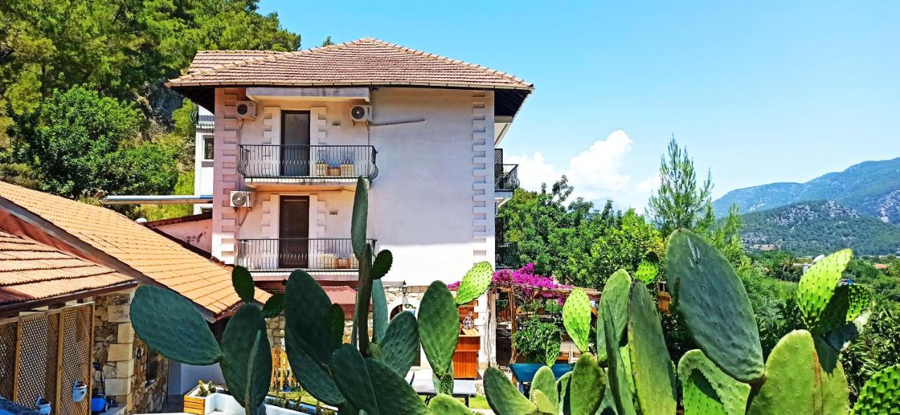 Swiss Eviniz Hotel (Adults Only) 아드라산 외부 사진